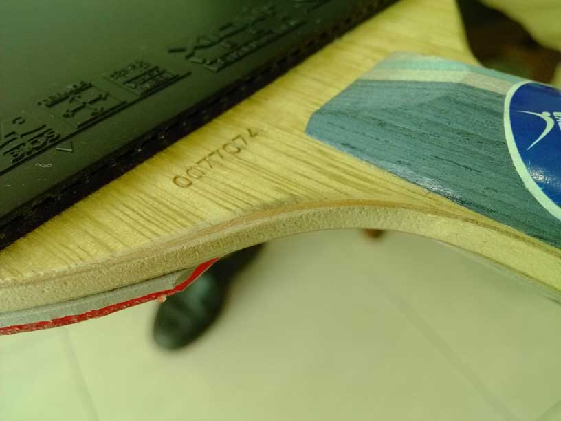 550���ʳ��������������������Ψ���й���729����