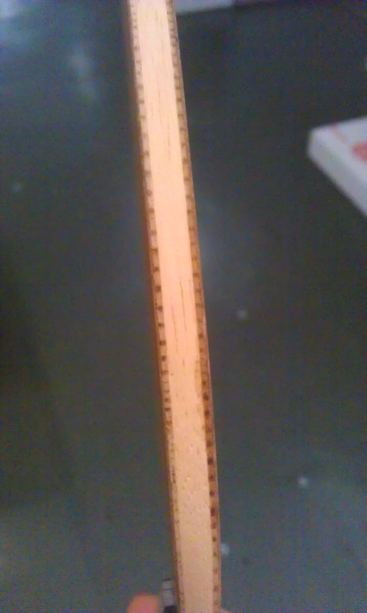 ��ר�Ҽ���һ����ֻyeo