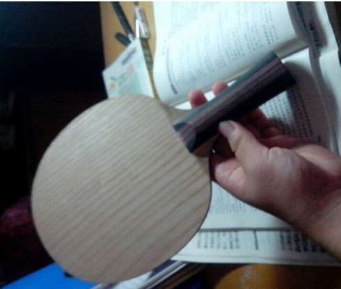 ���ѳ�һֻ���٣��������� 400��Ǯ