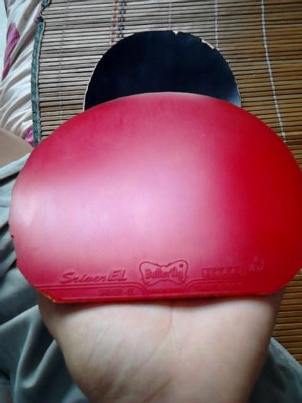 60��һ�Ž���ܺú������EL