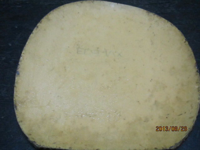 �����SRIVER FX��ڸ�һ��