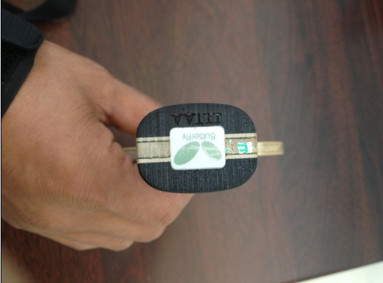 9.5�º���AMULTART����900����