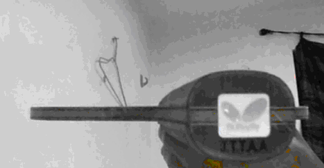 iNNERFORCE-ALC����