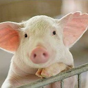 ��ASICS���·����ڣ���������asicsƹ�����˶�������������ۣ���ۣ���ۣ���ۣ���ۣ���ۣ���ۣ���ۣ���ۣ���ۣ���ۣ���ۣ���ۣ���ۣ�