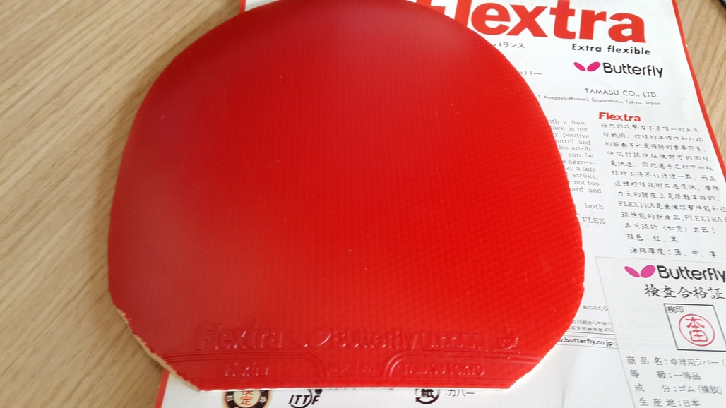 �Żݳ�����flextra�����׽���һ��ʡ�켫2