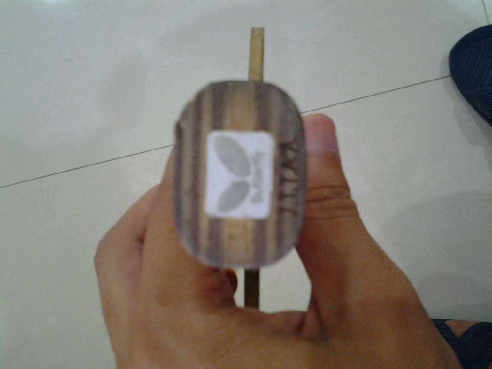 �����ѳ���ںͿƱ���