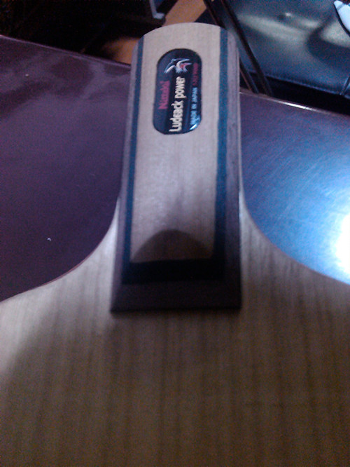 ���ѳ��հ����ִ���9.5�£�510Ԫ���ʣ�ֻ����һ��