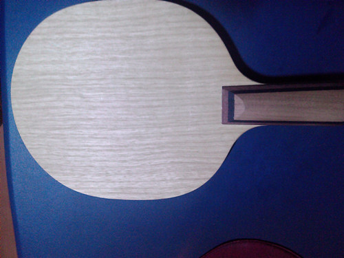 ���ѳ��հ����ִ���9.5�£�510Ԫ���ʣ�ֻ����һ��