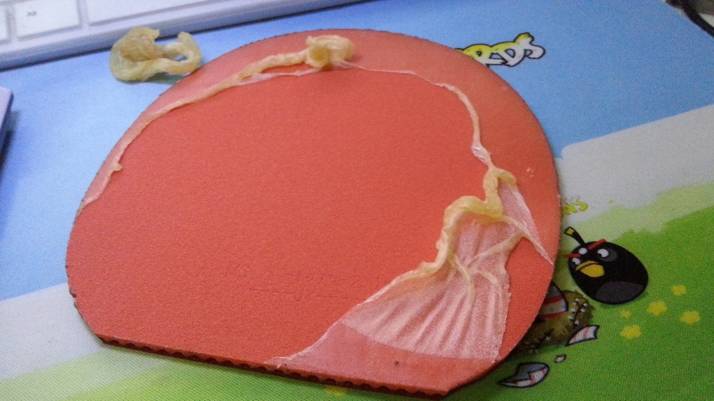 ____---------------------�� ��ɫ T05  ------------------------------_____