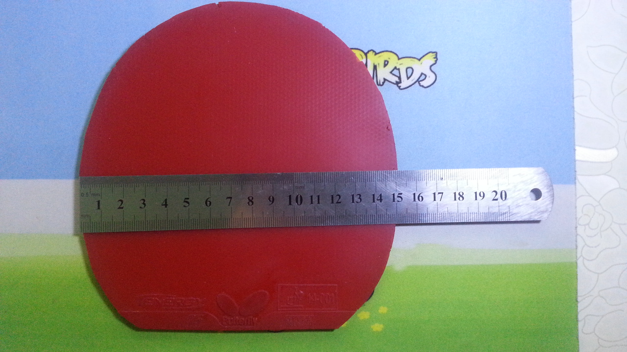 ____---------------------�ٳ� ��ɫ T05 ------------------------------_____