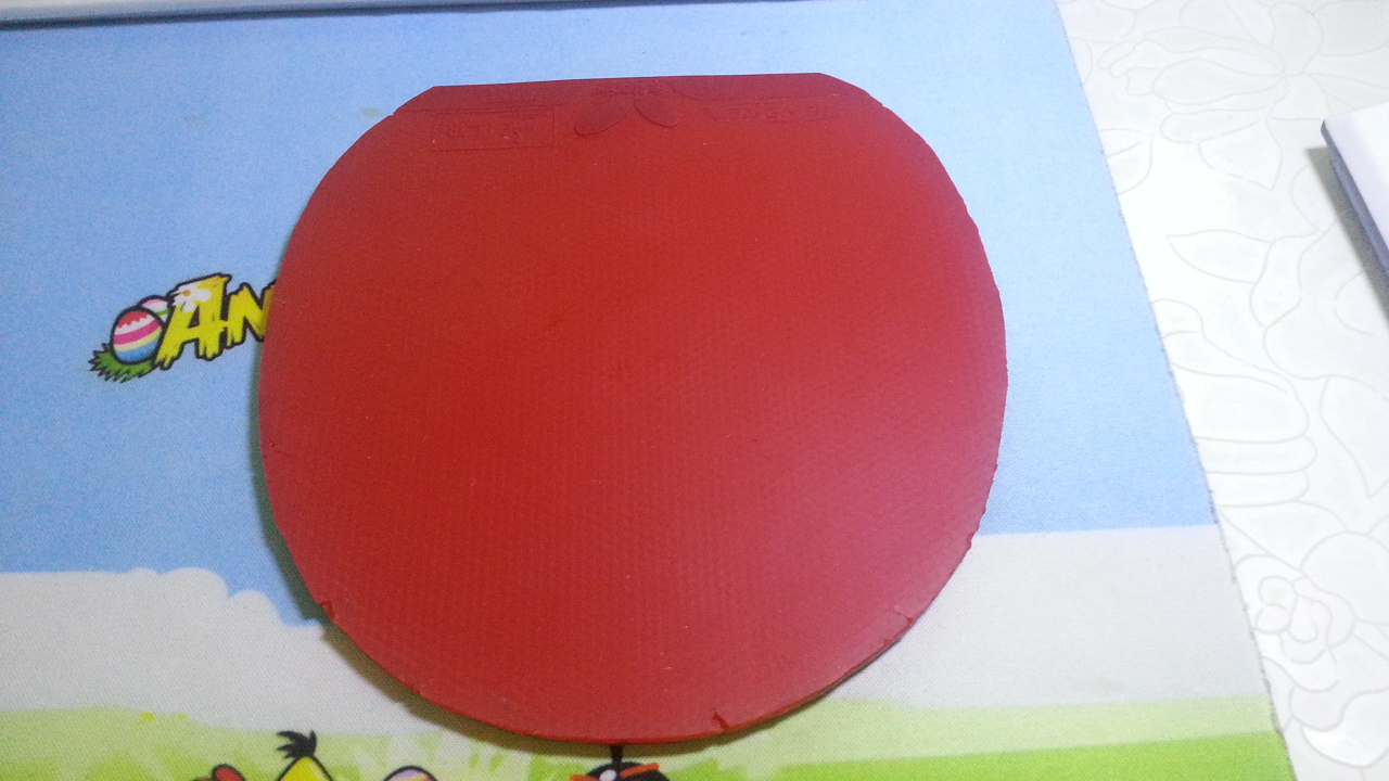 ____---------------------�ٳ� ��ɫ T05 ------------------------------_____