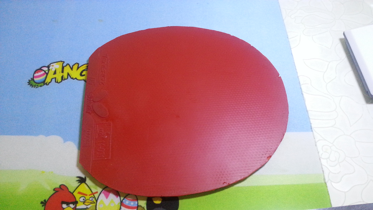 ____---------------------�ٳ� ��ɫ T05 ------------------------------_____