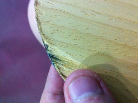 [ԭ��]�������������ӣ������� viscaria + ������ ����