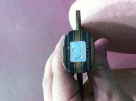 [ԭ��]�������������ӣ������� viscaria + ������ ����