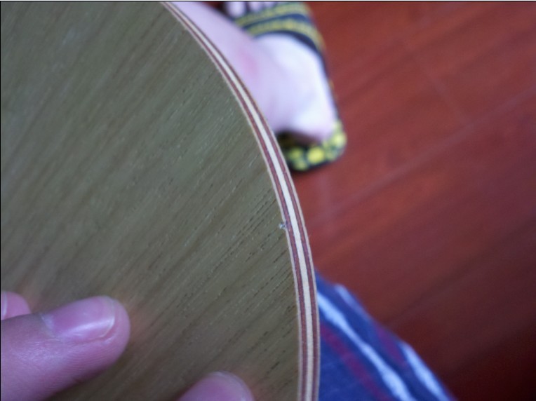 ���������......~���������ִ���ͺ������Ƹ�ԭ��������