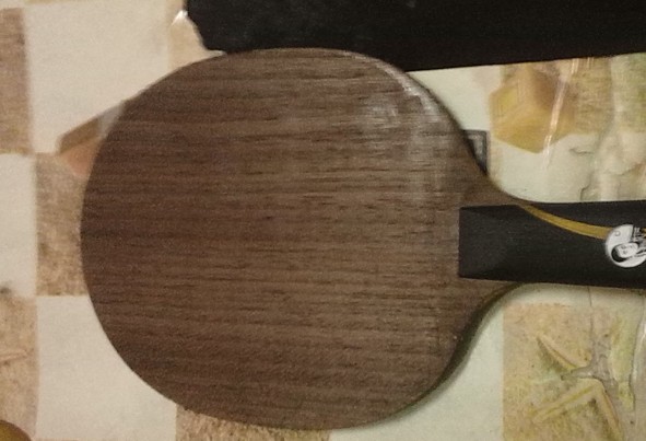 9���¿���������YEO