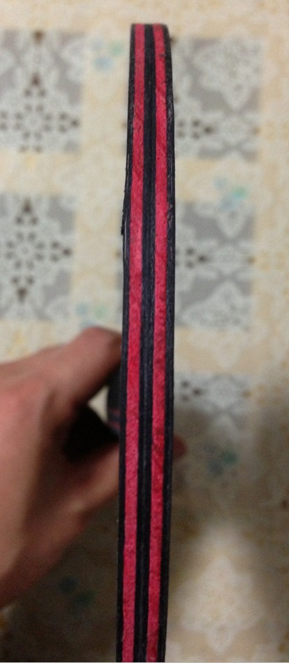 ���ѳ����л�����˹�ٿ�����̼��