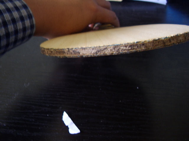 ��������һֻ