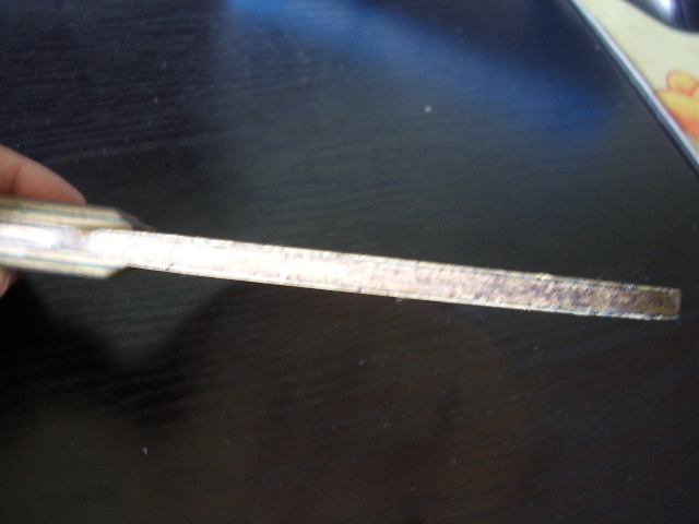 ��������һֻ