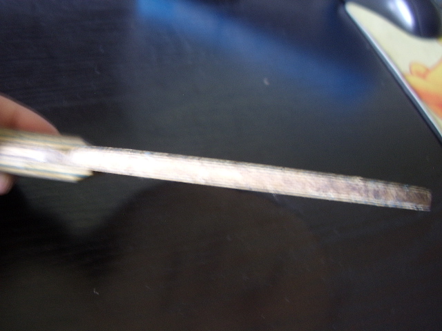 ��������һֻ