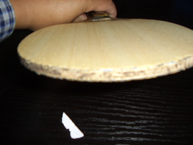 ��������һֻ