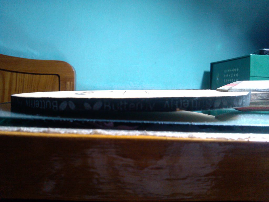 ����9���µ���̼�������׽�