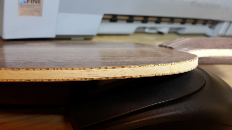 �ö�������������ʹ���е�˹�ٿ���ǿ��ľ���л����¸��ס�����������������