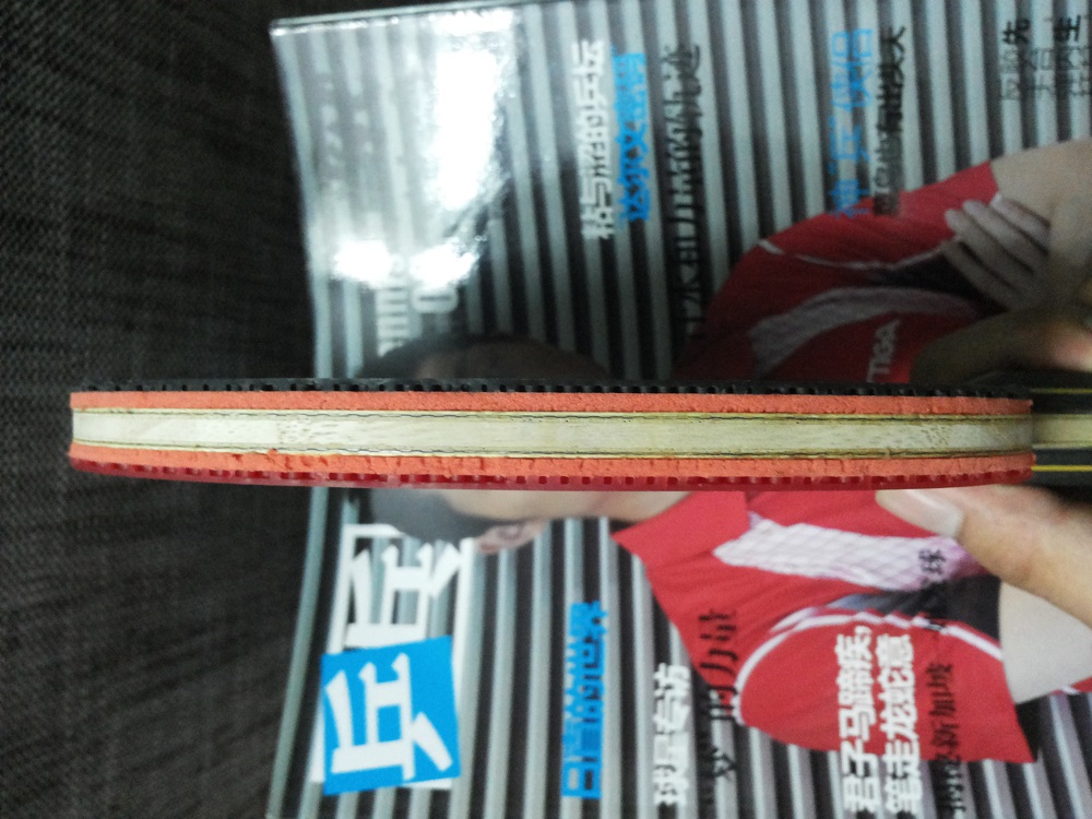 95���ż̿Ƴ���ZLC fl  05+64