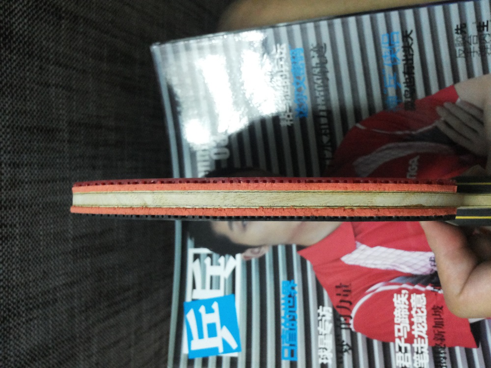 95���ż̿Ƴ���ZLC fl  05+64