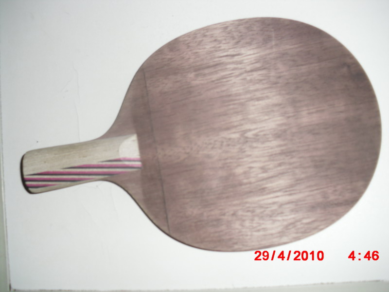 ��Stiga˹�ٿ���5.4ʵ߯\�й�ʽ��