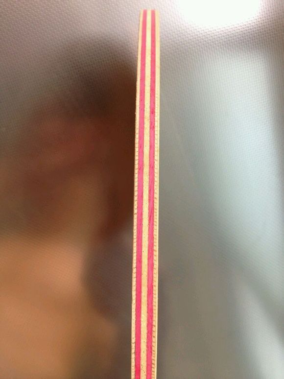 ##################������һ�Ÿ���ṹͼ������8�ֱ���˫ϲ�����߲㴿ľ�壬�����ư��ӵĽ�#########