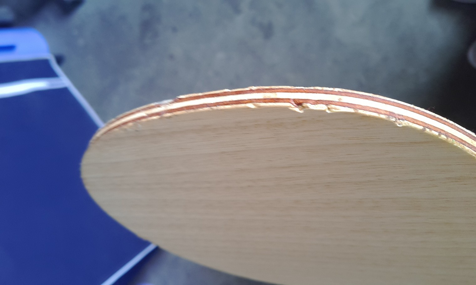 �����ѷ��������ִ���