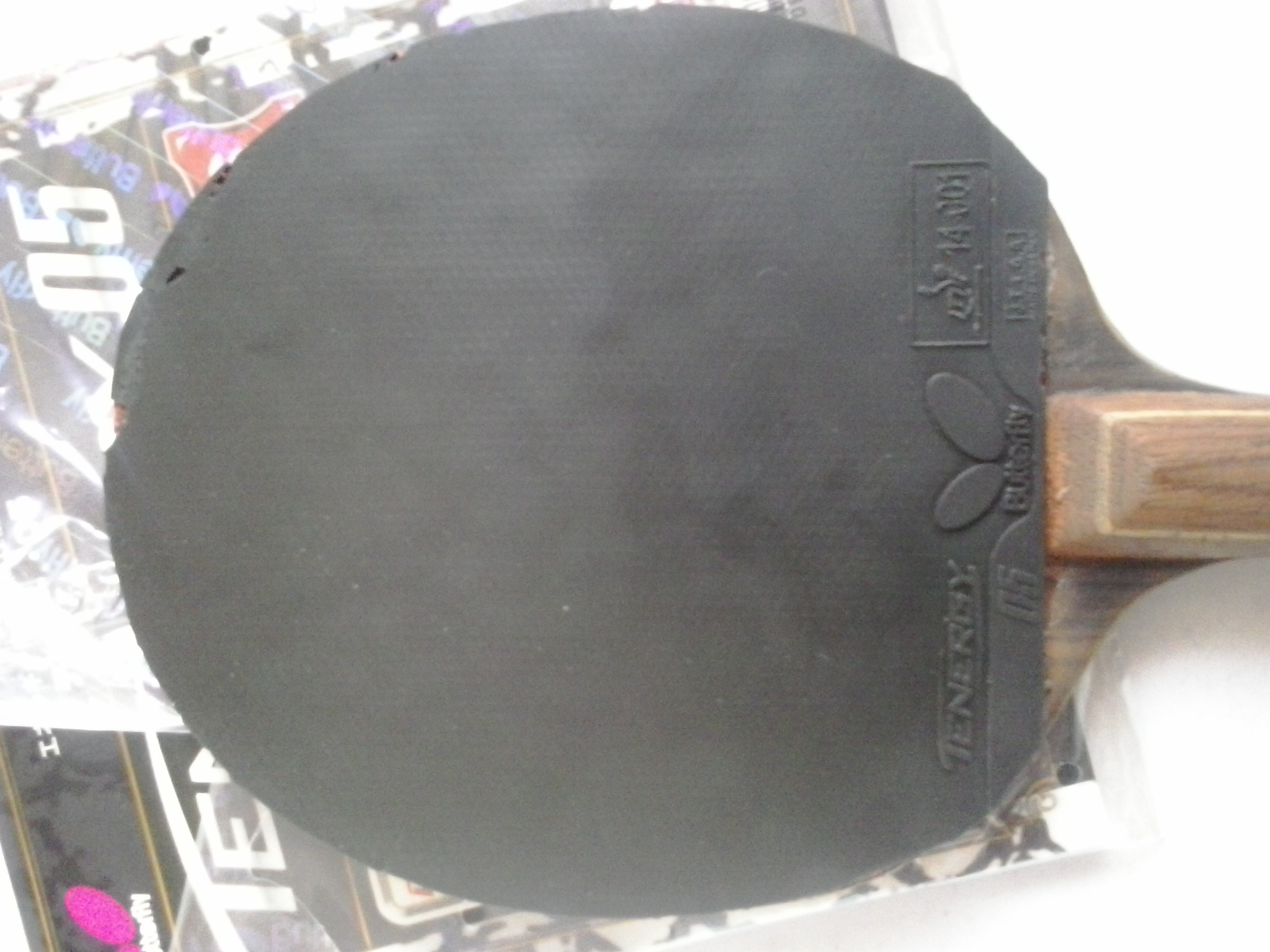 ��T05��ɫ�л�������һ���¡���ͼ��15142239612QQ546462454