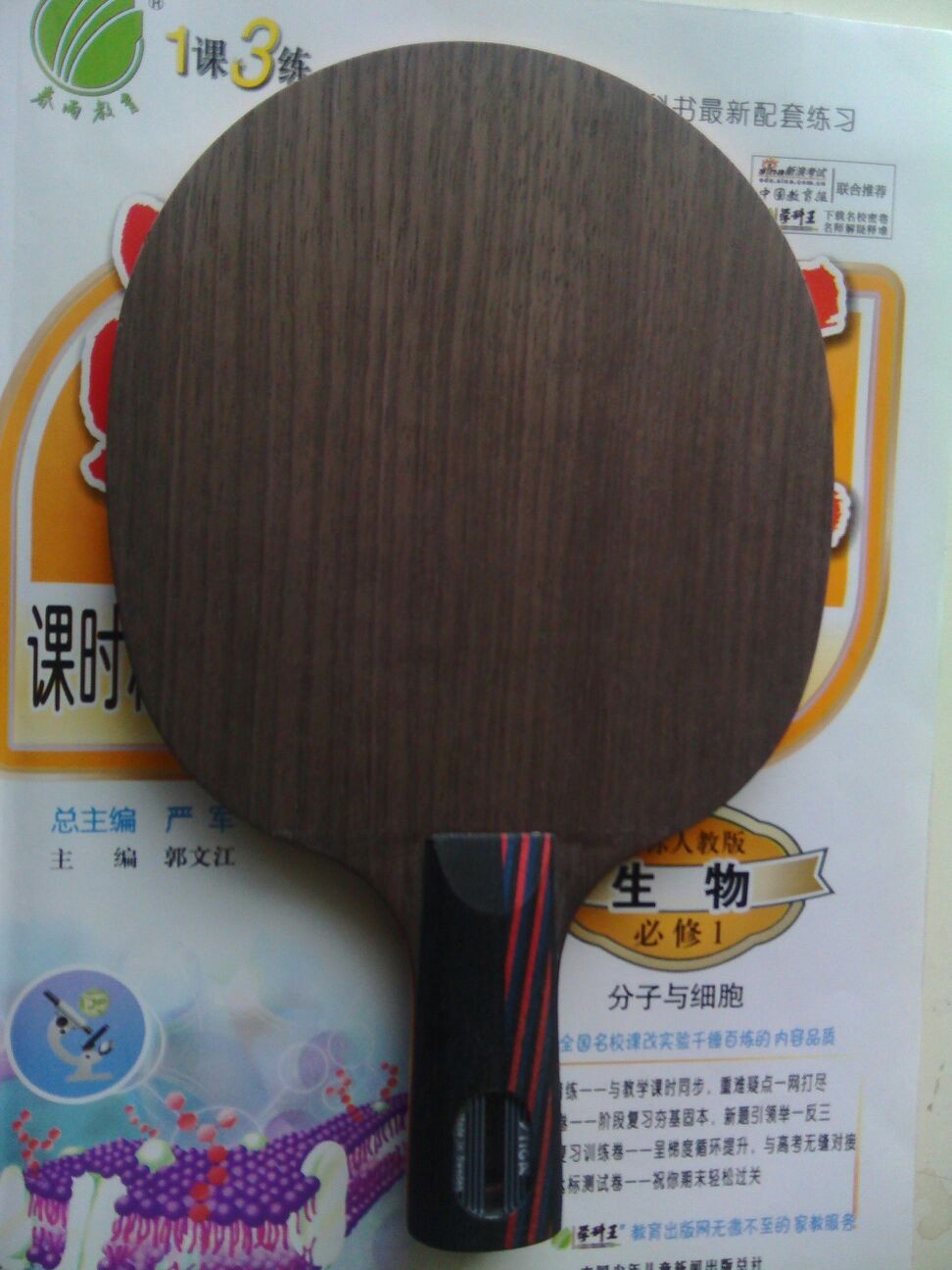 2֧����4��Ƥ��