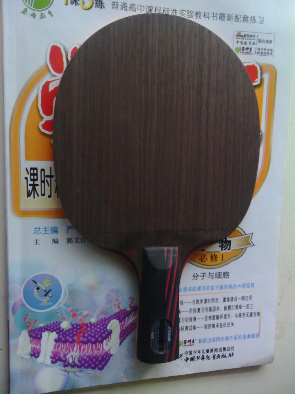 2֧����4��Ƥ��