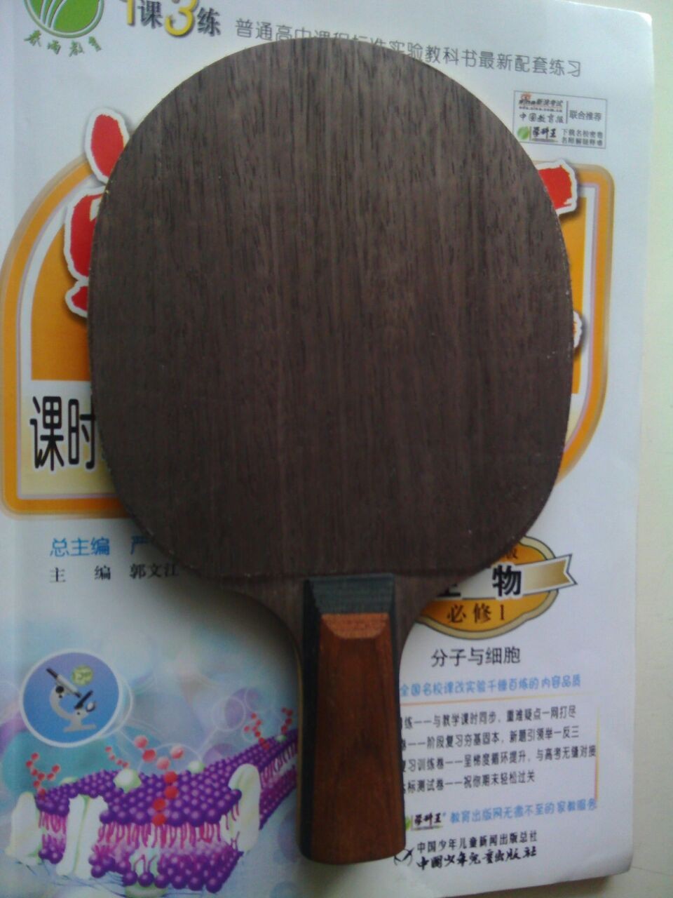 2֧����4��Ƥ��