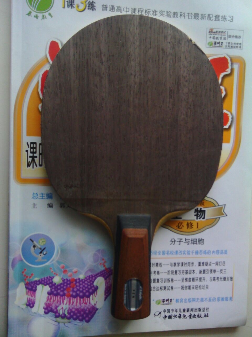 2֧����4��Ƥ��