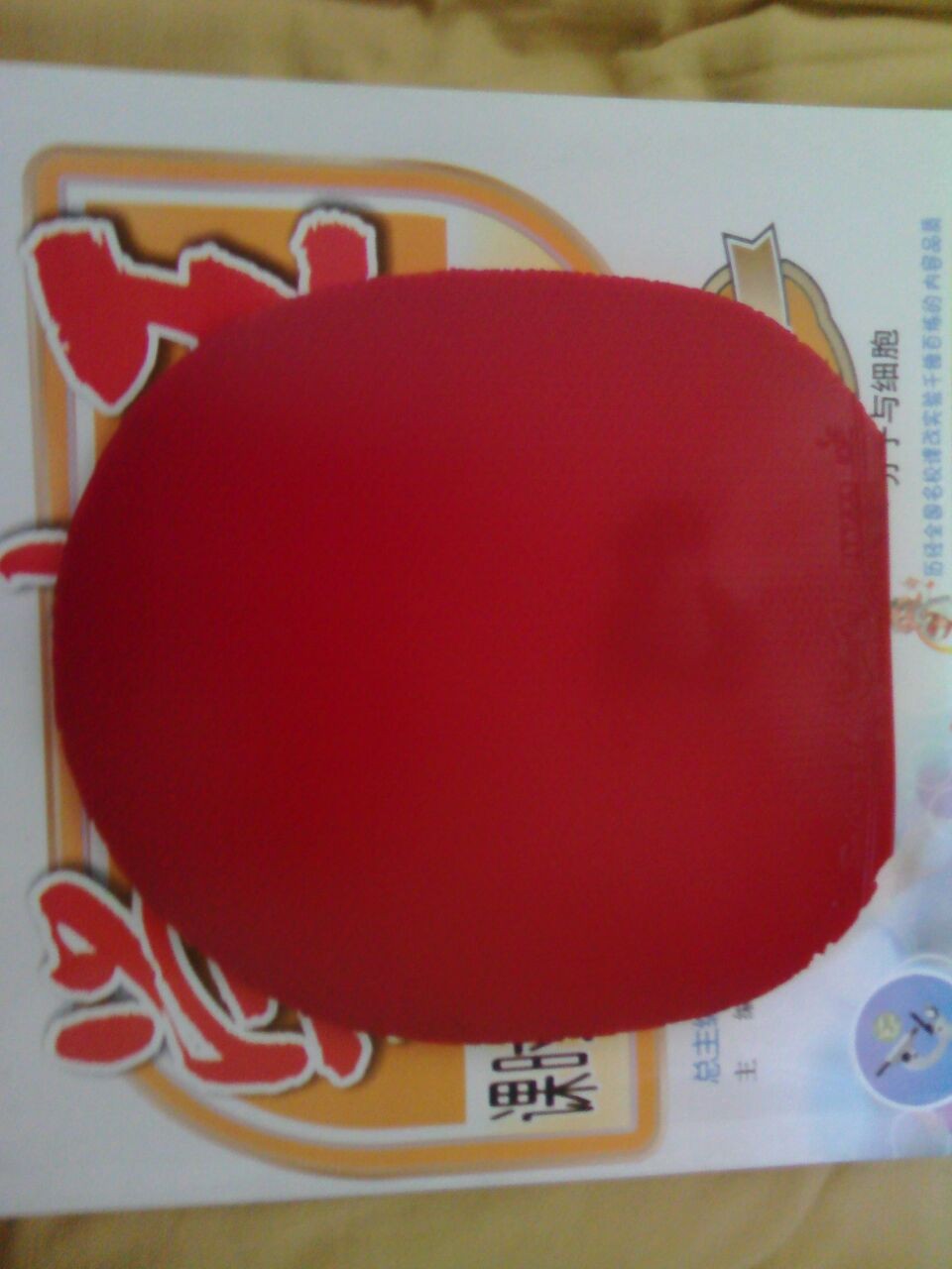 2֧����4��Ƥ��