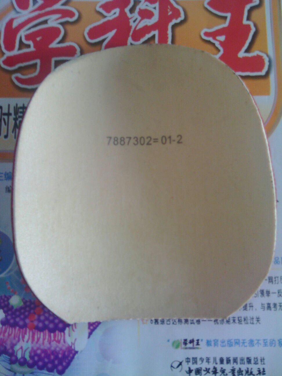 2֧����4��Ƥ��