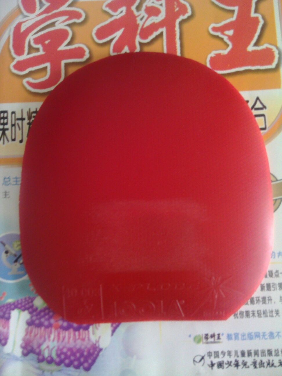 2֧����4��Ƥ��