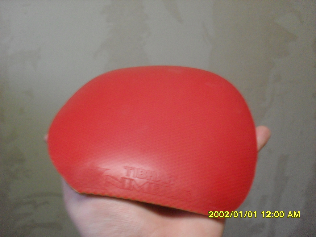 ��һֻͦ�ε����ӣ�300ȫ��