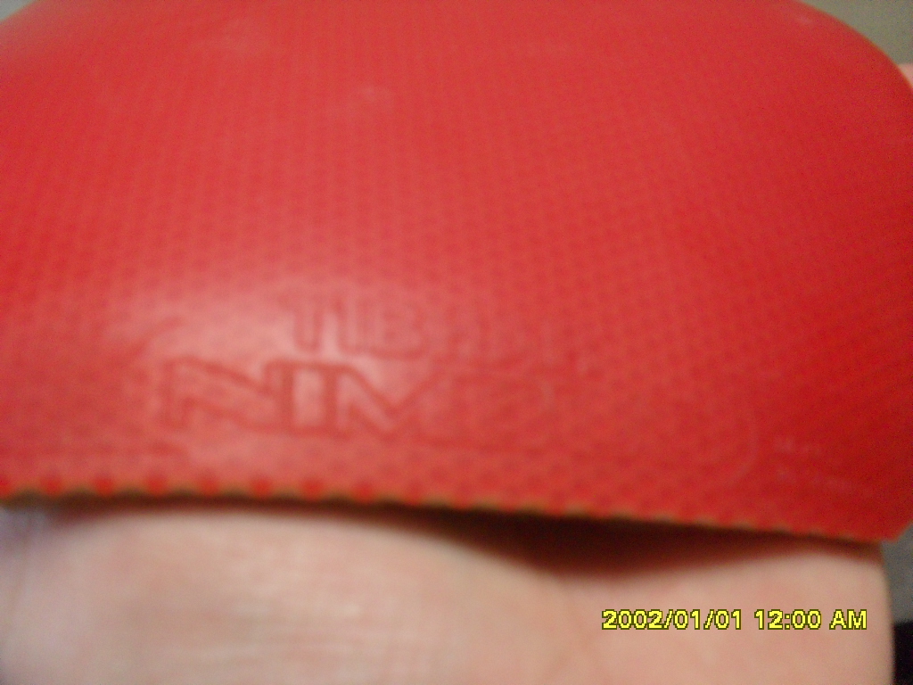 ��һֻͦ�ε����ӣ�300ȫ��