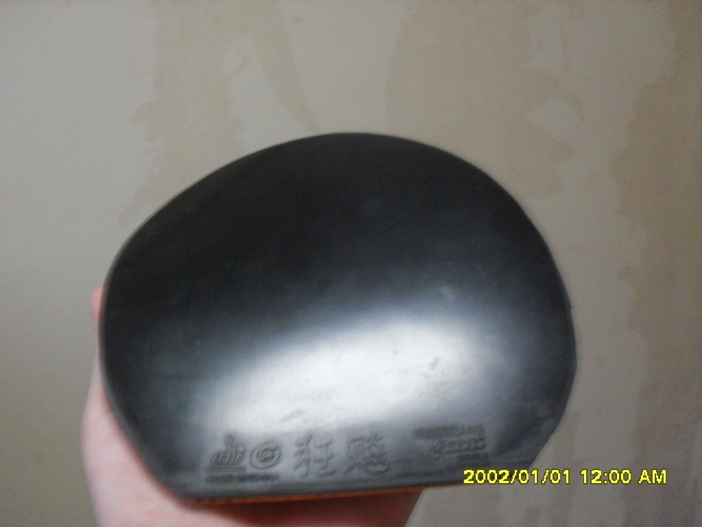 ��һֻͦ�ε����ӣ�300ȫ��