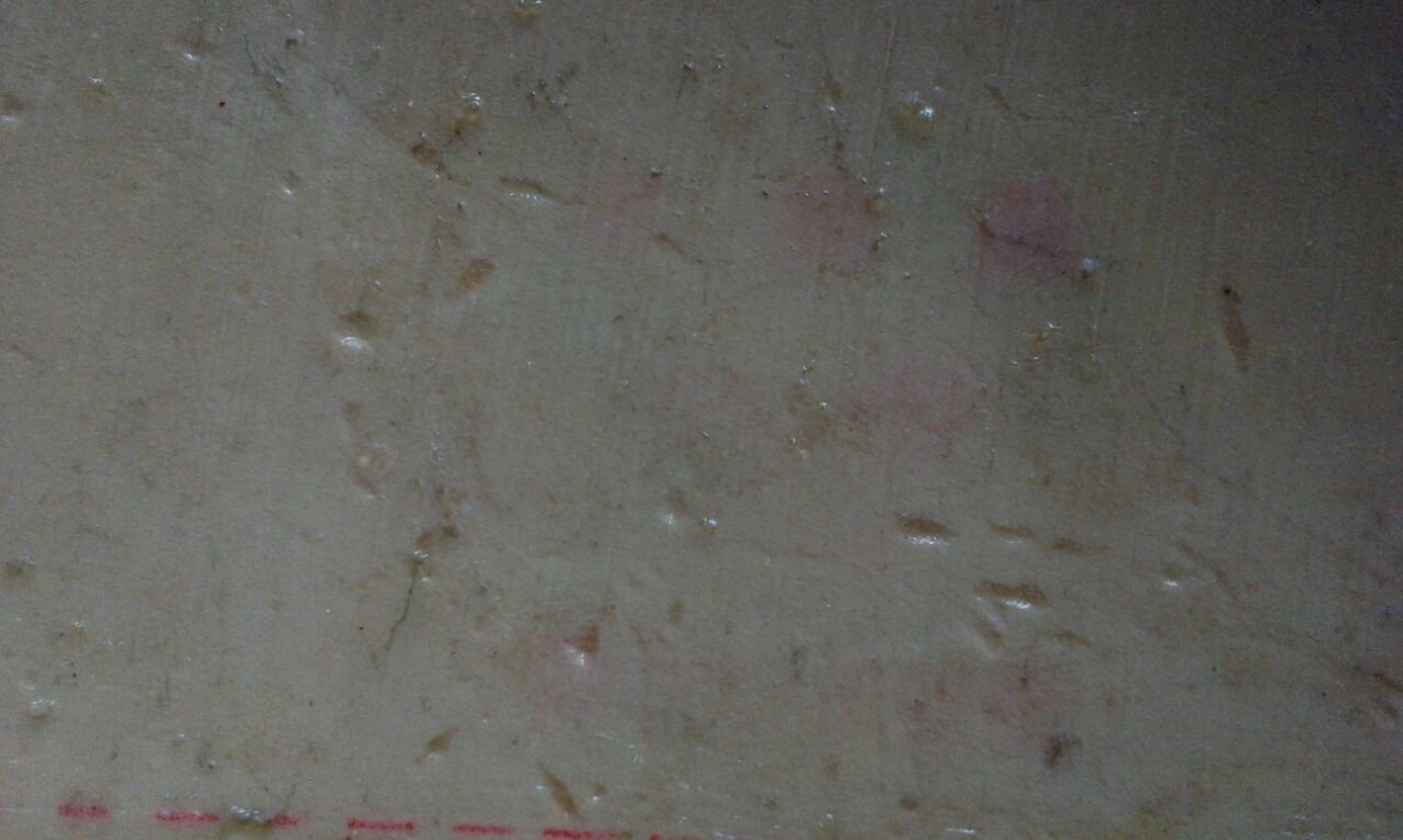 ���ƴ���ٶȵͼ۳�