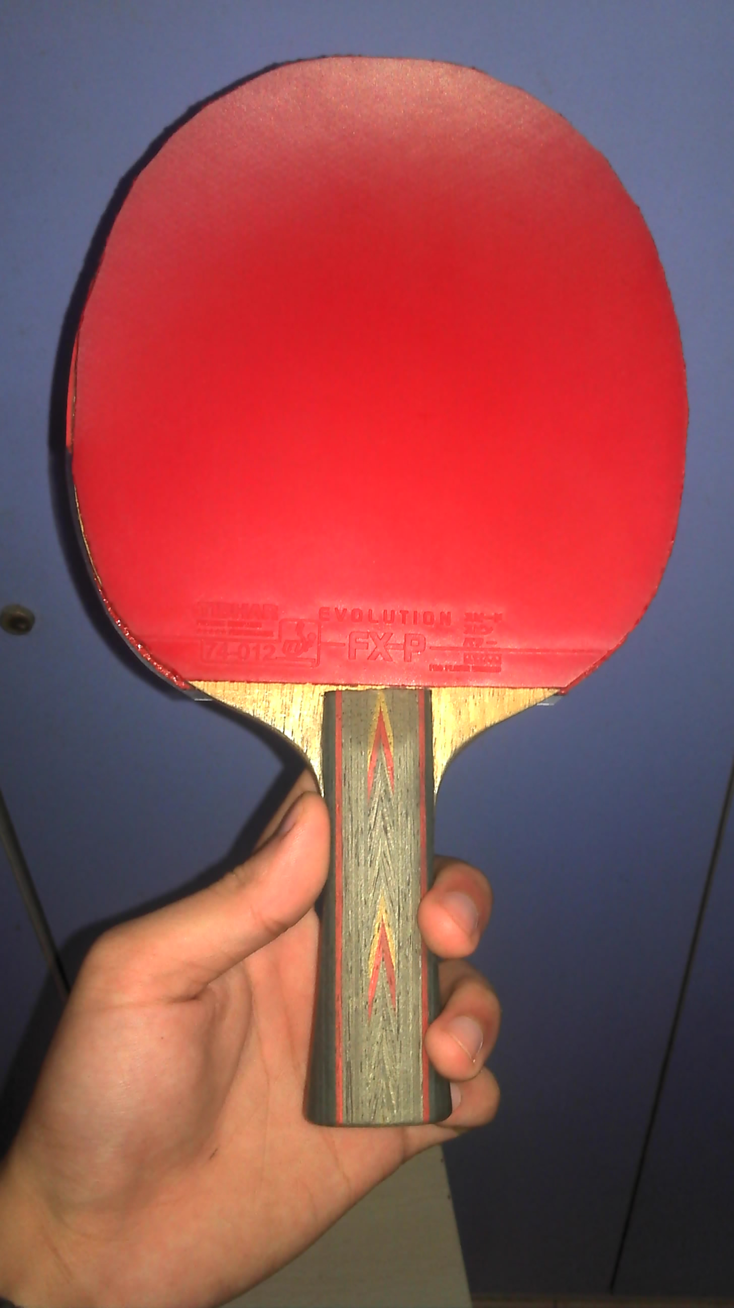 ������Ƥ�����FXP����һ����������������