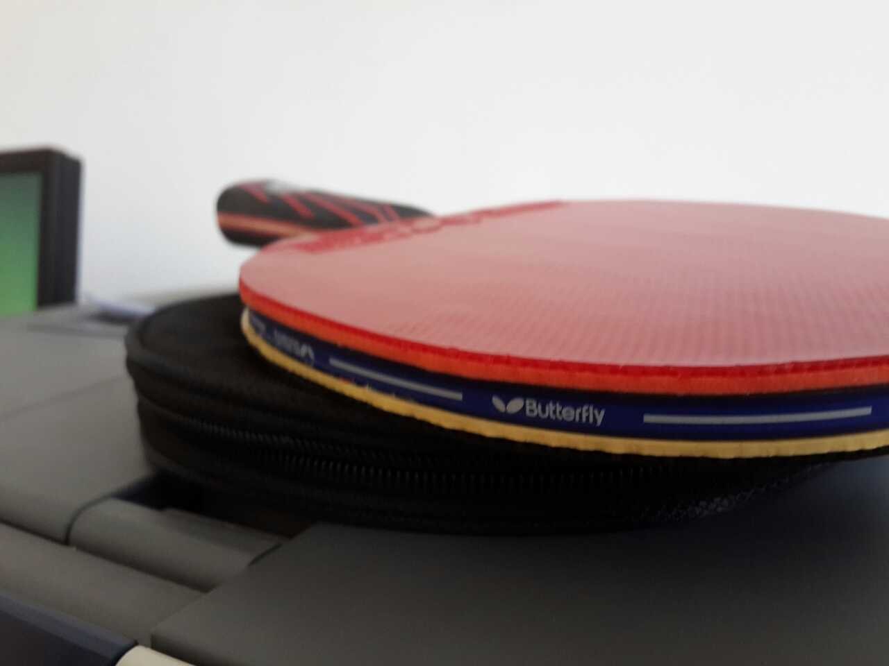 �����ó�����˹�ٿ����䣬TO+���̼������ɫ����������Ȥ�Ľ��ˡ�