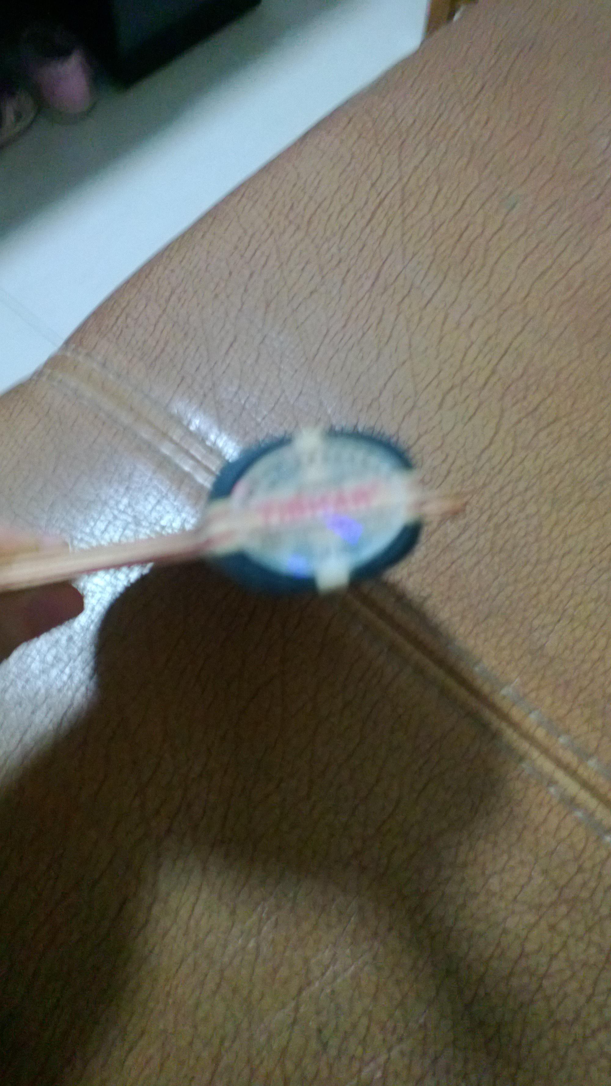 ��ͦ�α���