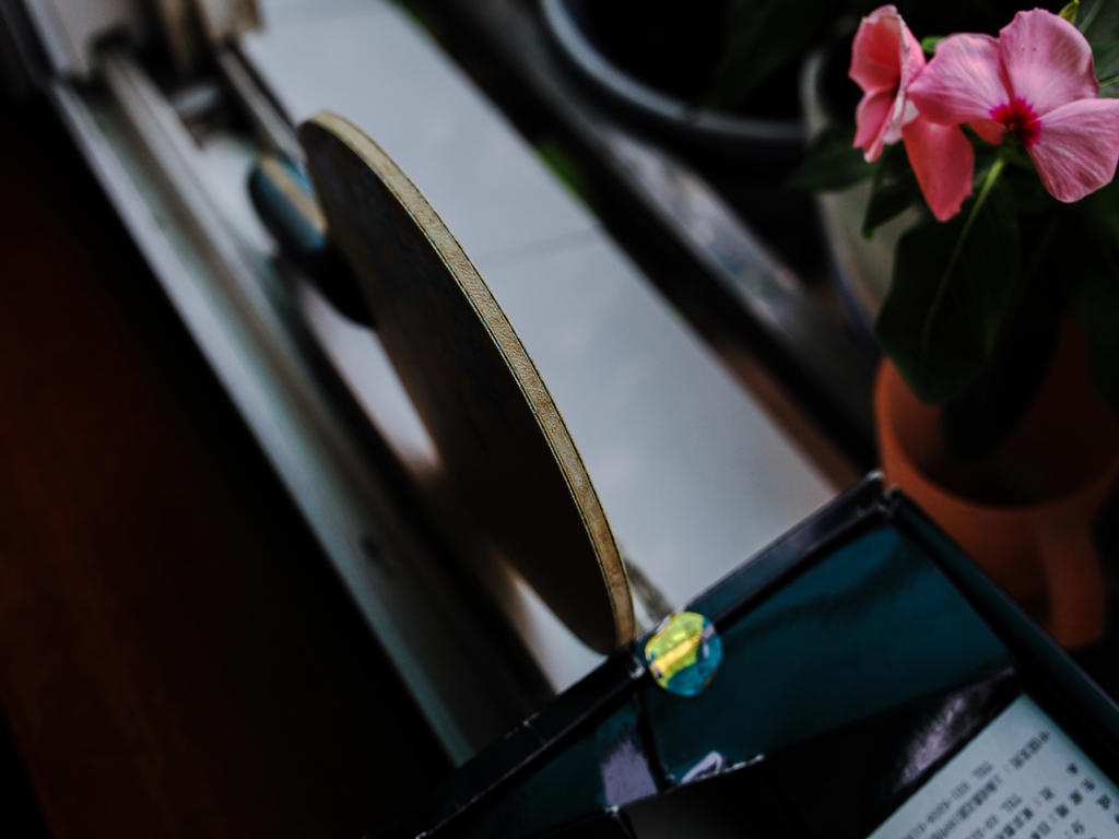 �����ѳ������ż̿�FL