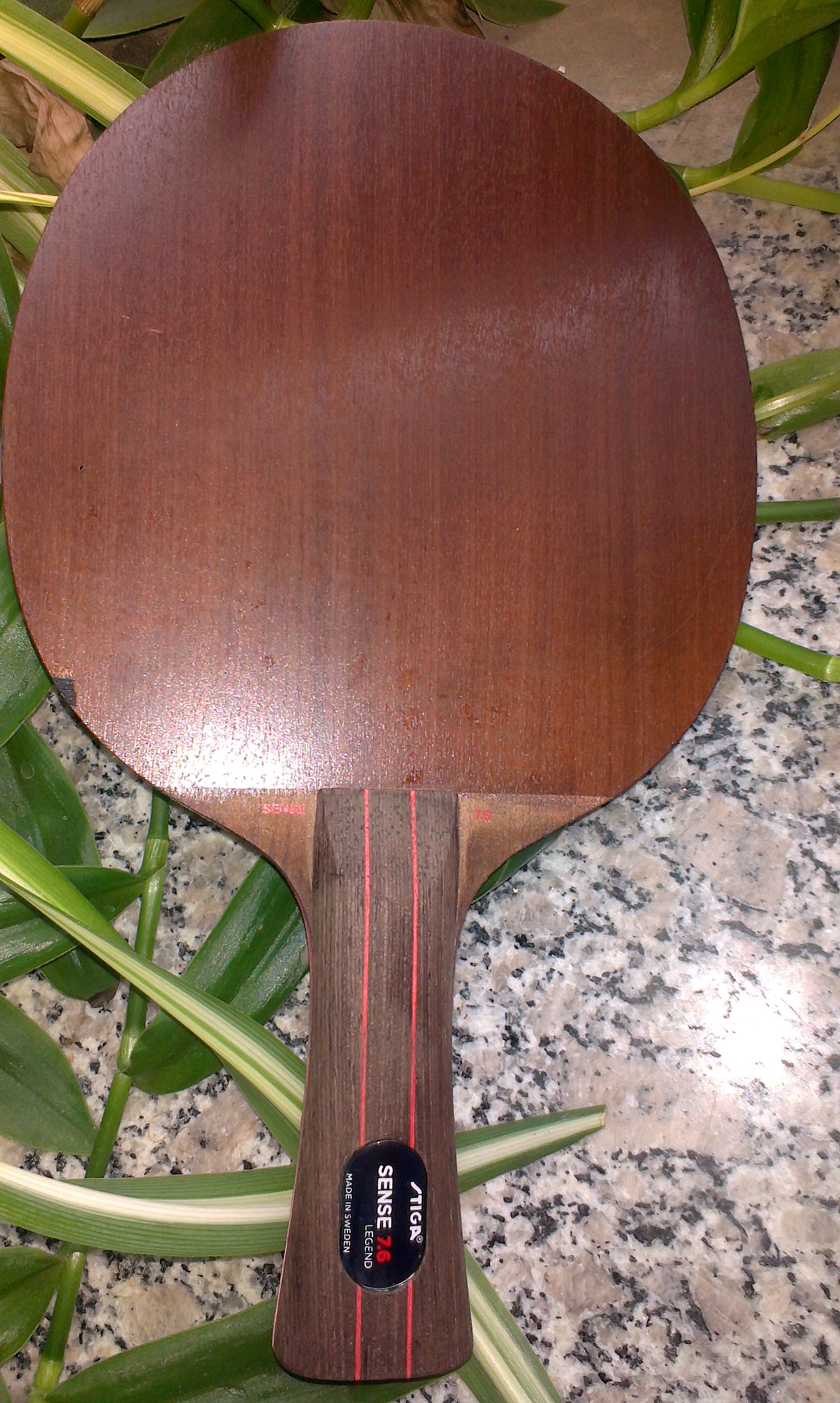 ��С��ŷ����sense7.6����350���ʡ���95�׽��������߽����̰桪��215���ʡ�����ӭ���530���ʣ���