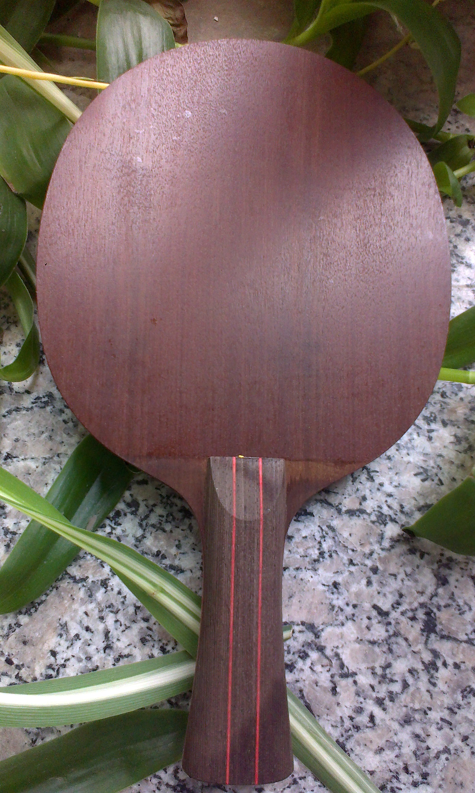 ��С��ŷ����sense7.6����350���ʡ���95�׽��������߽����̰桪��215���ʡ�����ӭ���530���ʣ���